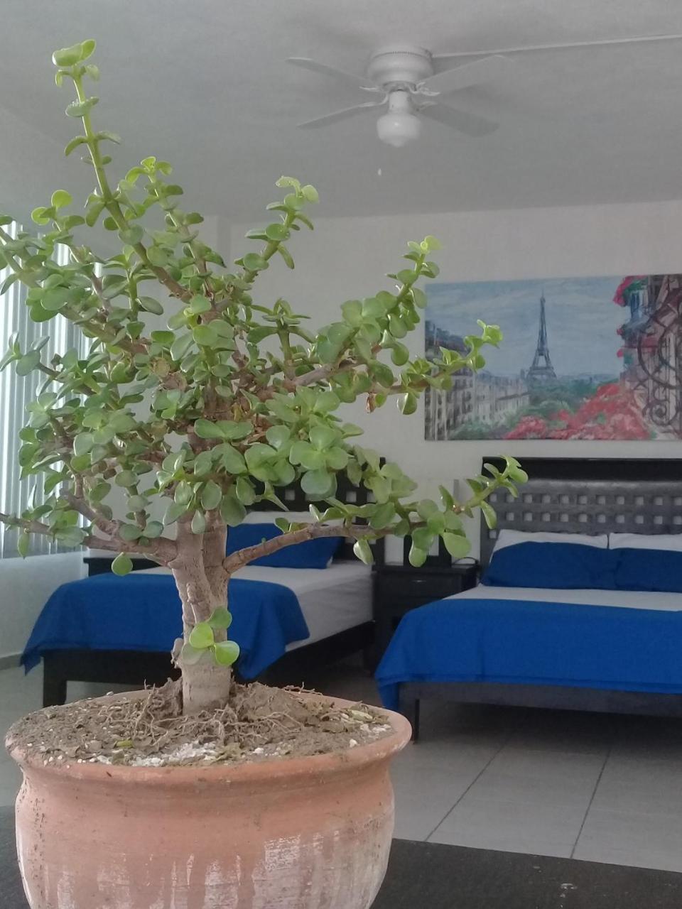 Posada San Cristobal Cuernavaca Bagian luar foto